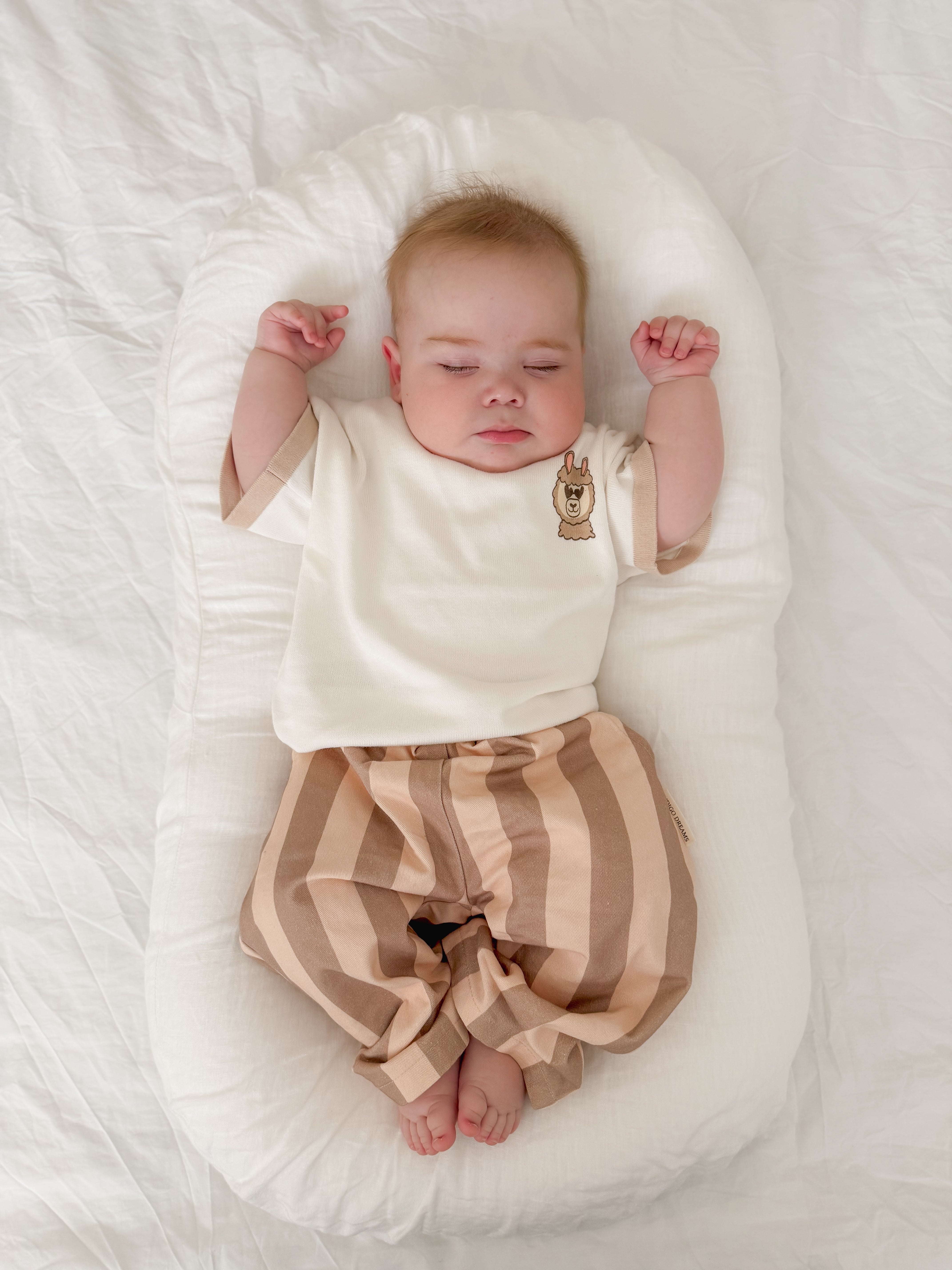 Oat Stripe Canvas Pants