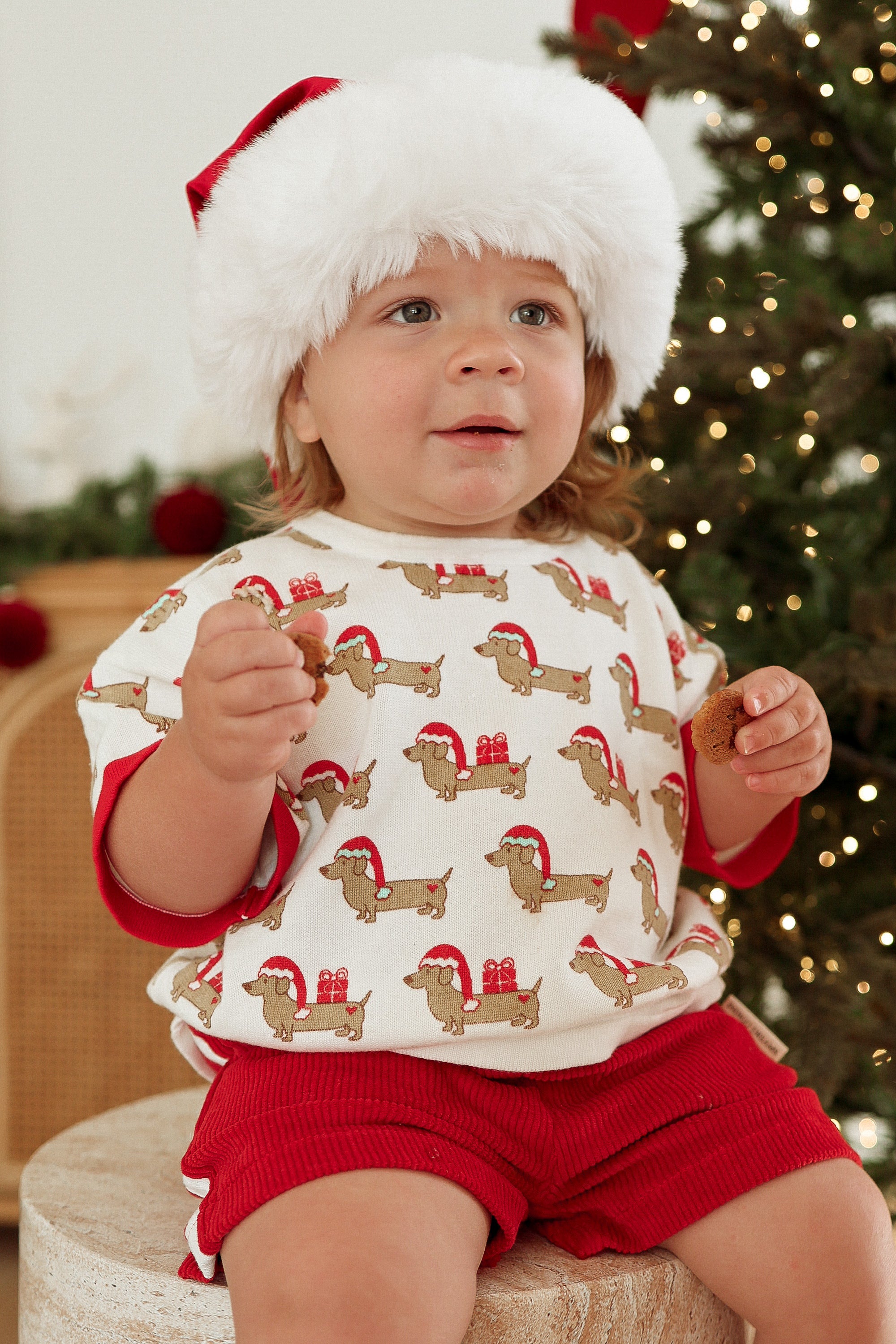 Santa Paws Tee