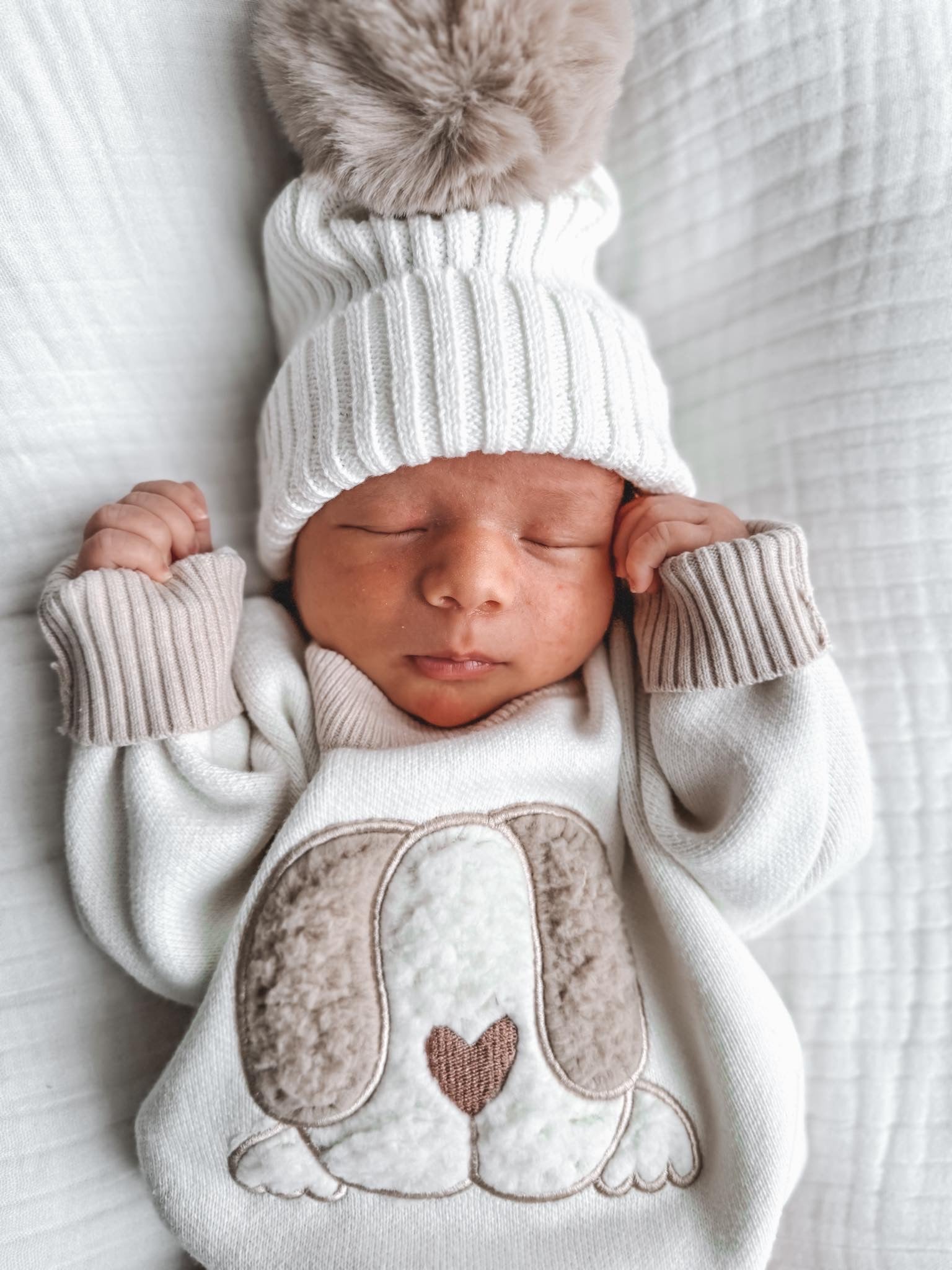 Oat Sherpa Puppy Jumper