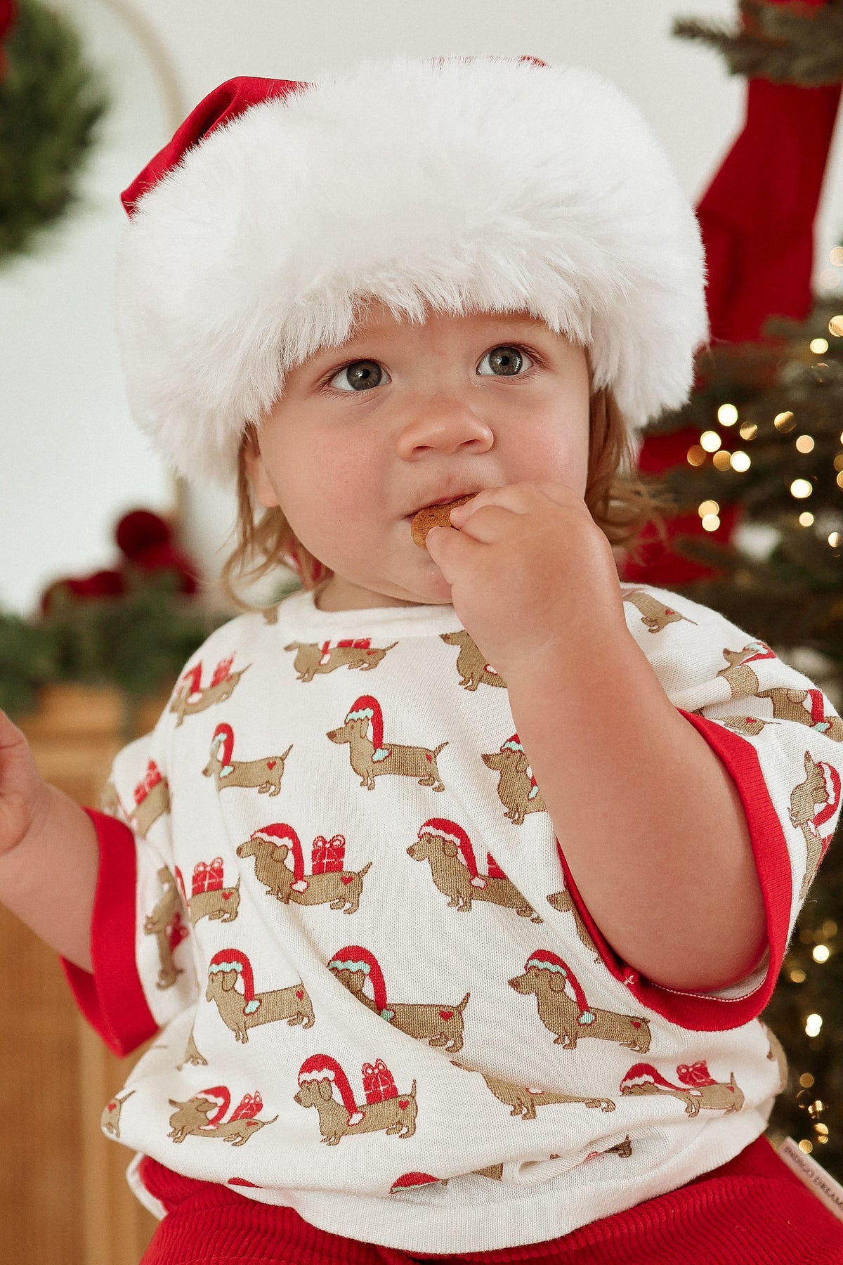 Santa Paws Tee