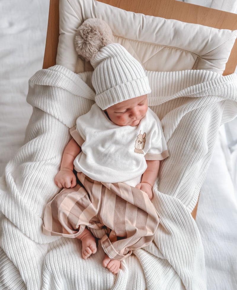 Oat Stripe Canvas Pants