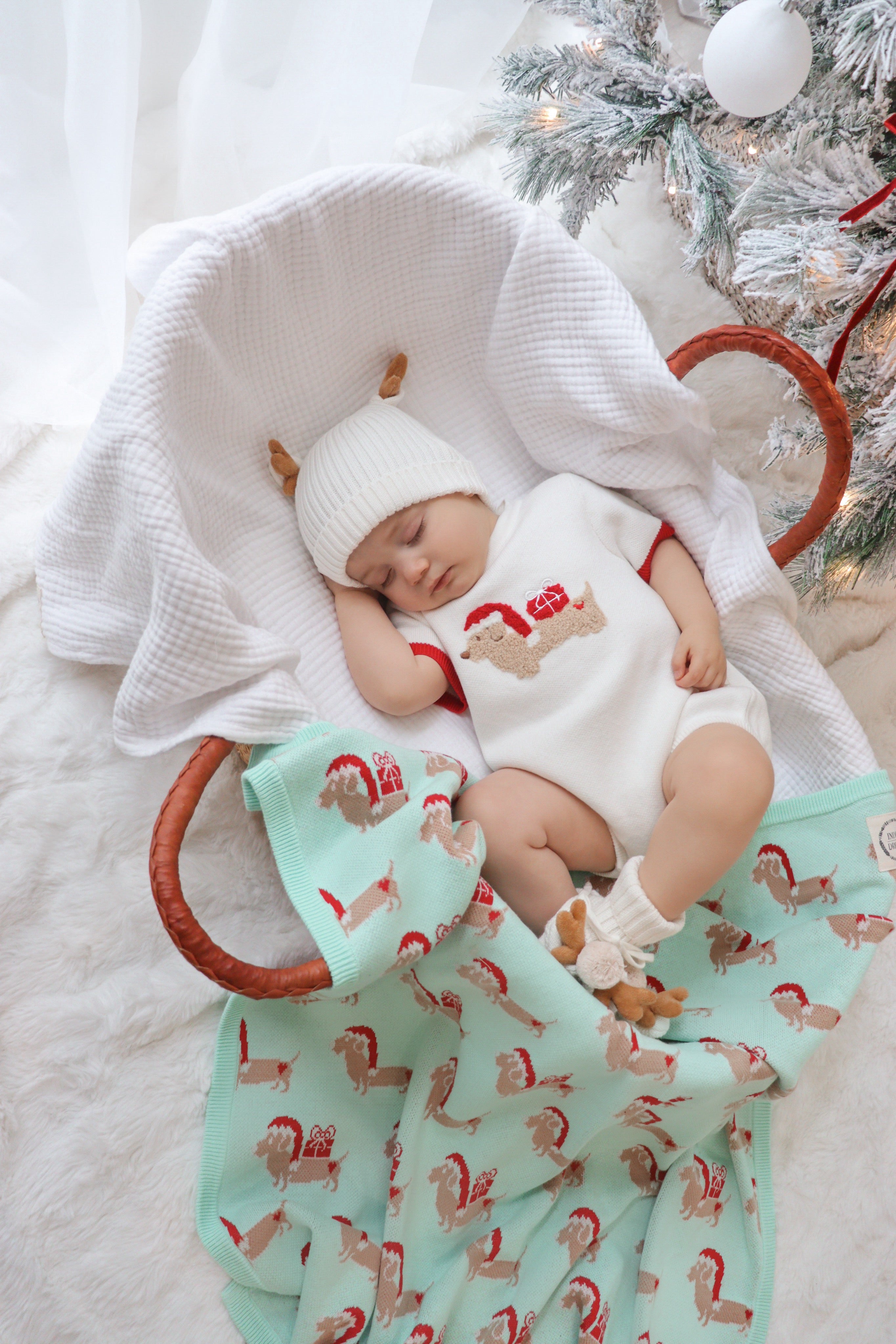 Santa Paws Blanket
