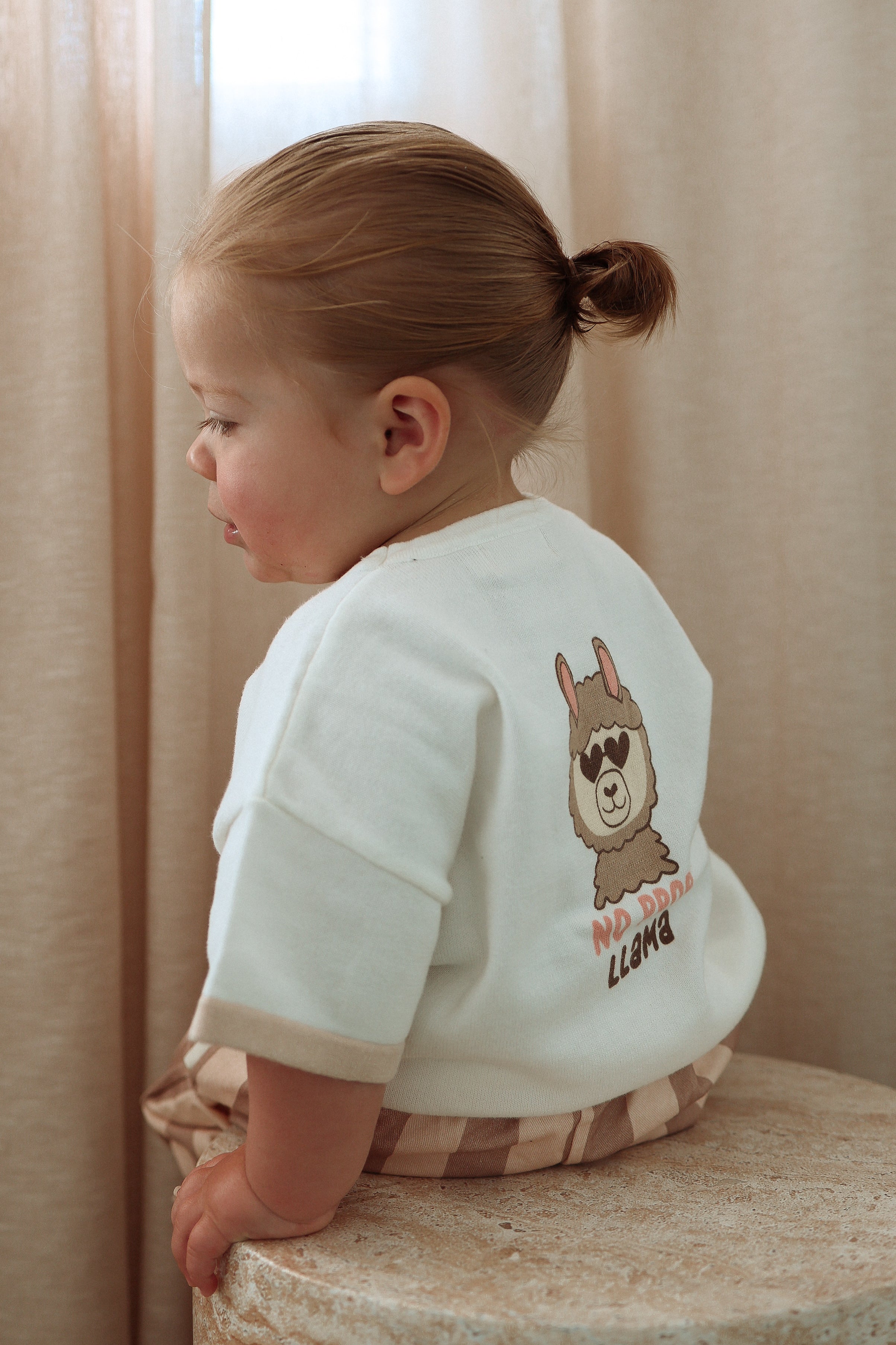 'No ProbLlama' Tee